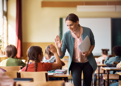 Teachers or Professors